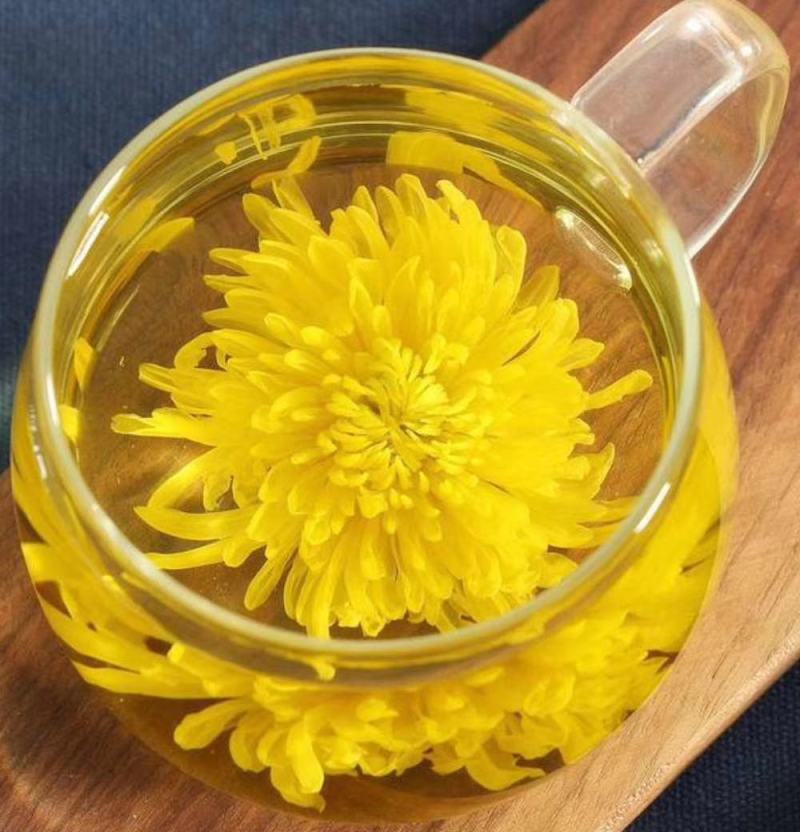 金丝皇菊