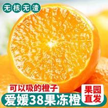 爱媛橙，四川眉山产地直发，质量保证合作共赢！！
