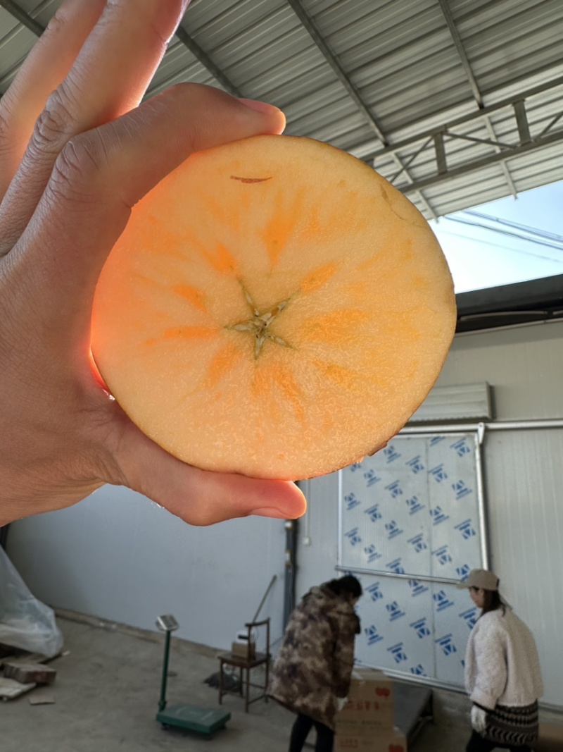 云南高原冰糖心丑苹果