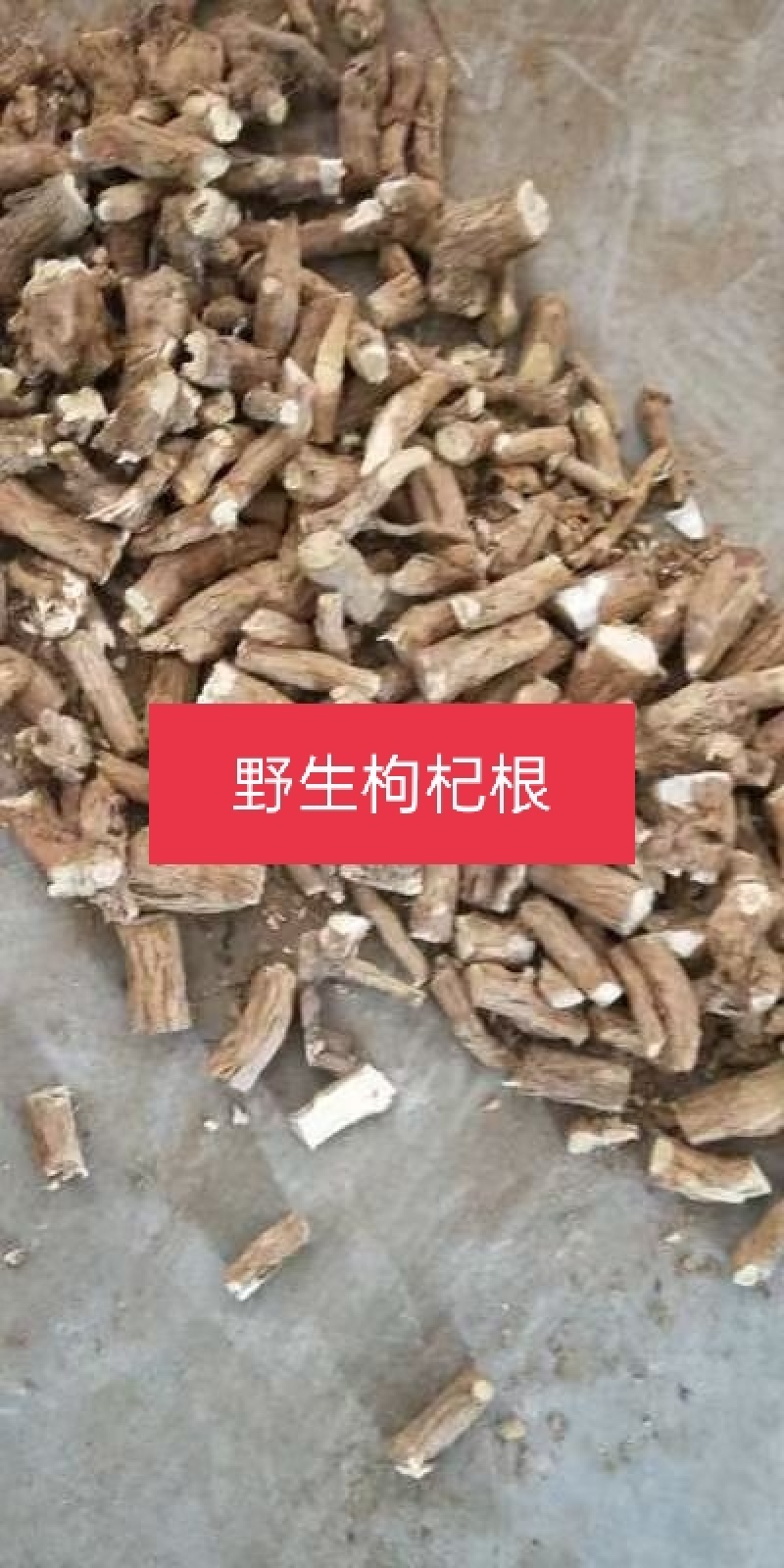 野生枸杞根，水洗货切断
