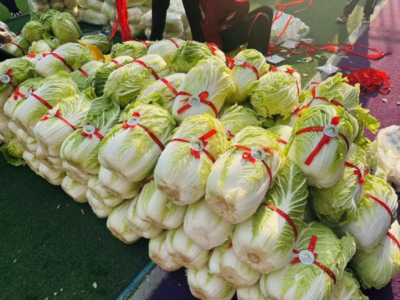 胶州大白菜礼盒大量供应