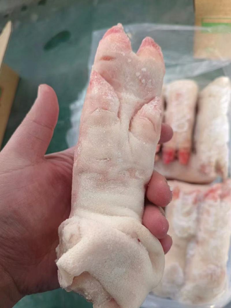 国产肥猪，带筋调理猪蹄，厂家发货一手货源批发品质保证！