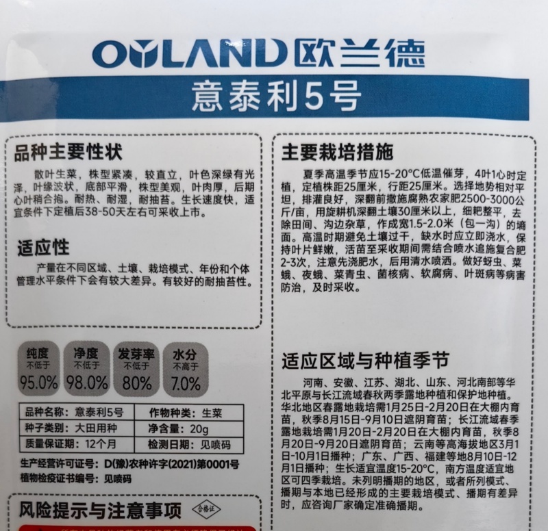 深绿叶生菜种子意泰利5号浓绿叶绿帮耐热耐寒半结球夏生菜种