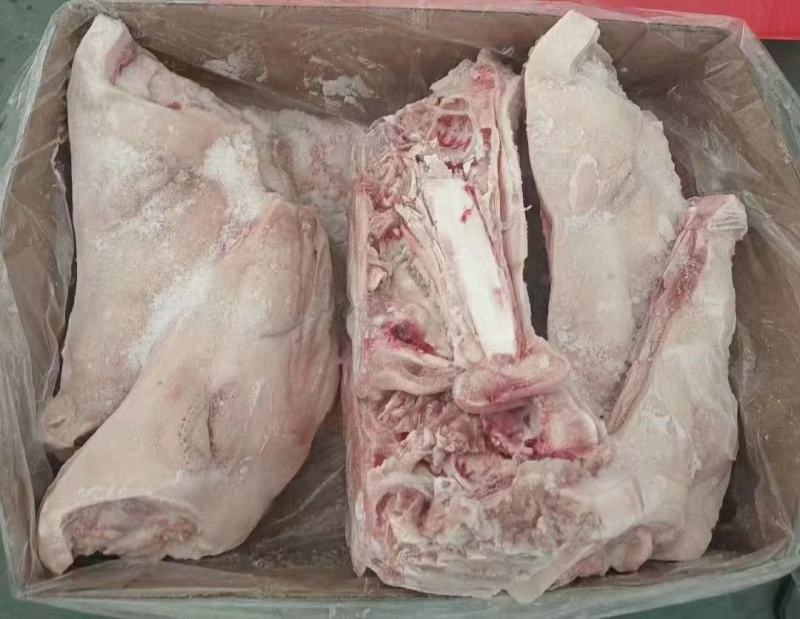 鸿运当头猪头厂家直发一手货源批发品质保证价格美丽