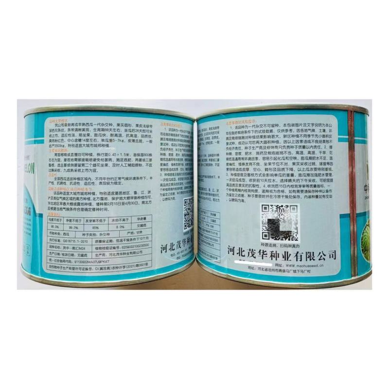 早熟杂交品种高纯版都市流行西瓜品种南汇一8424