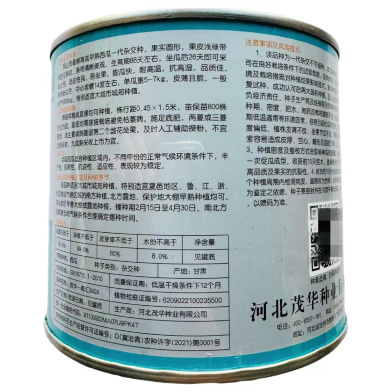 早熟杂交品种高纯版都市流行西瓜品种南汇一8424