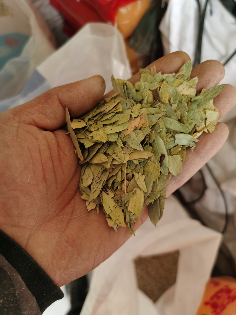番泻叶泻叶进口批发