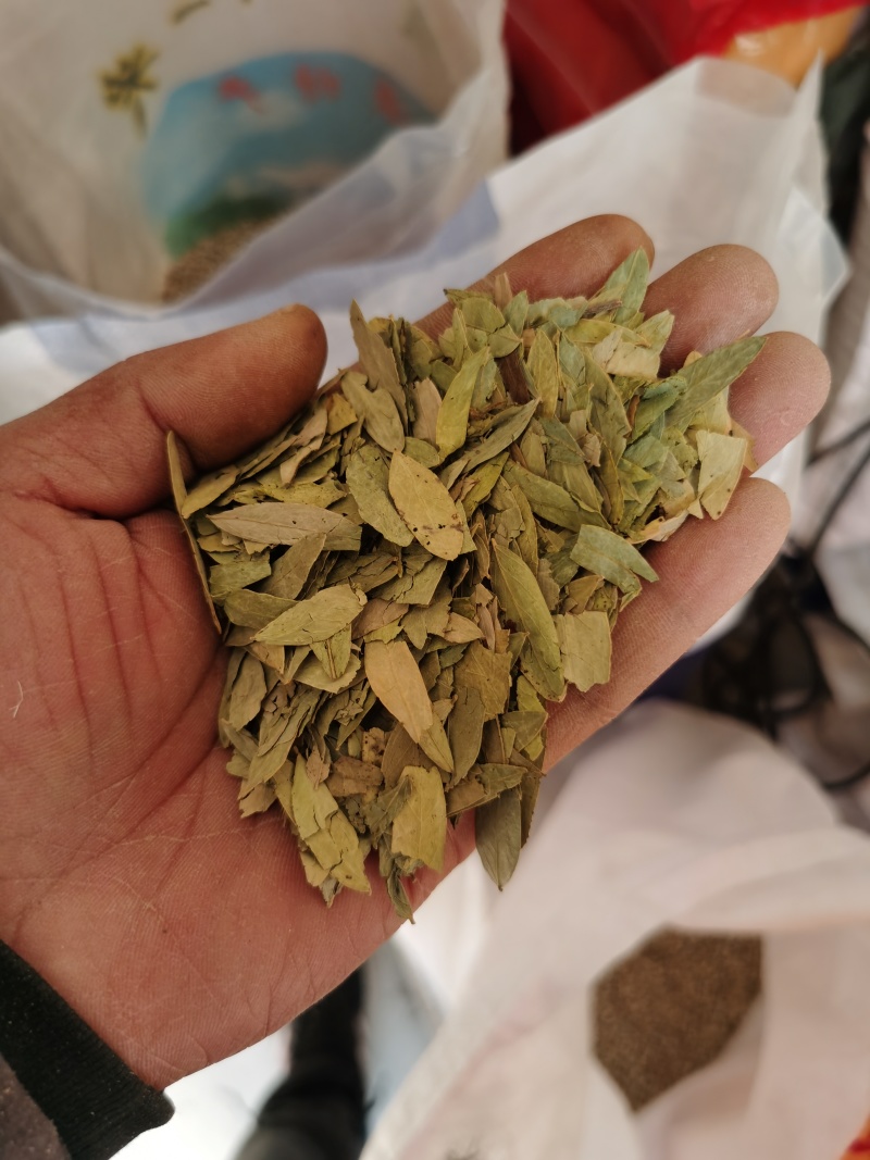 番泻叶泻叶进口批发
