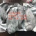 去沙精品海参斑鱼，山东厂家发货，新鲜保质品质保证欢迎来电