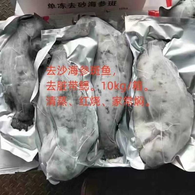 去沙精品海参斑鱼，山东厂家发货，新鲜保质品质保证欢迎来电