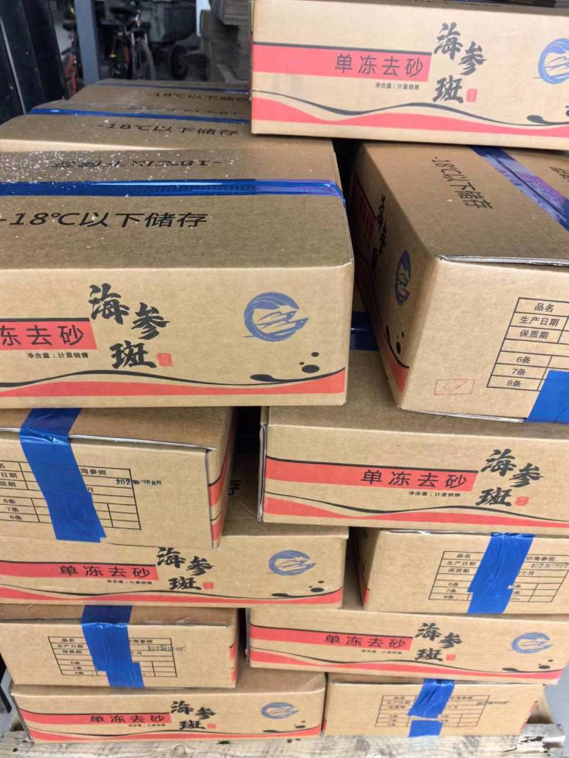 去沙精品海参斑鱼，山东厂家发货，新鲜保质品质保证欢迎来电