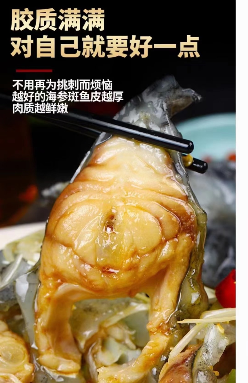 去沙精品海参斑鱼，山东厂家发货，新鲜保质品质保证欢迎来电