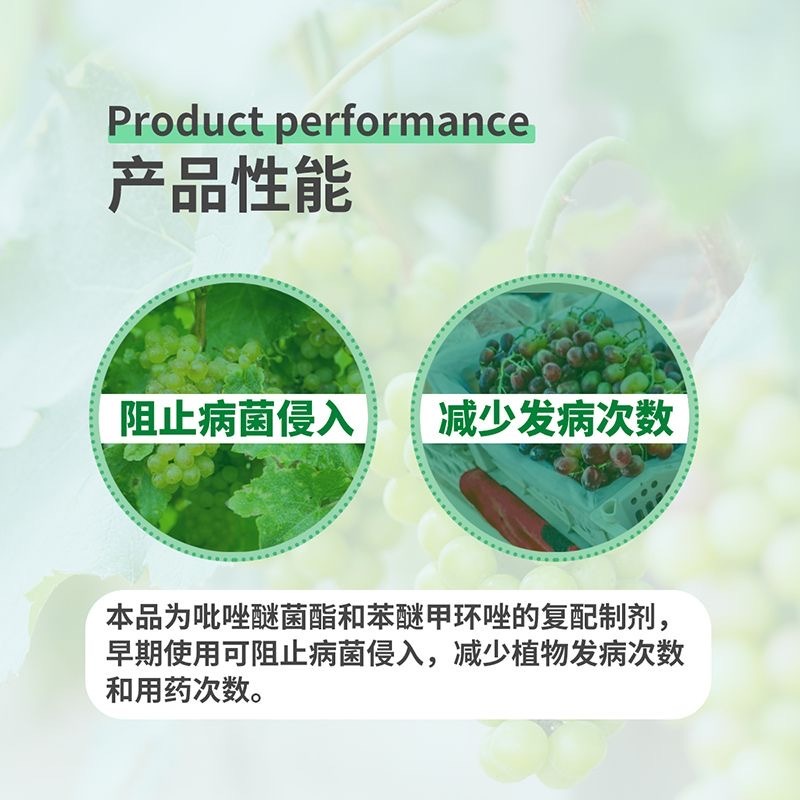 32%苯甲吡唑酯葡萄白粉病能用杀菌剂炭蛆病黑斑叶斑病