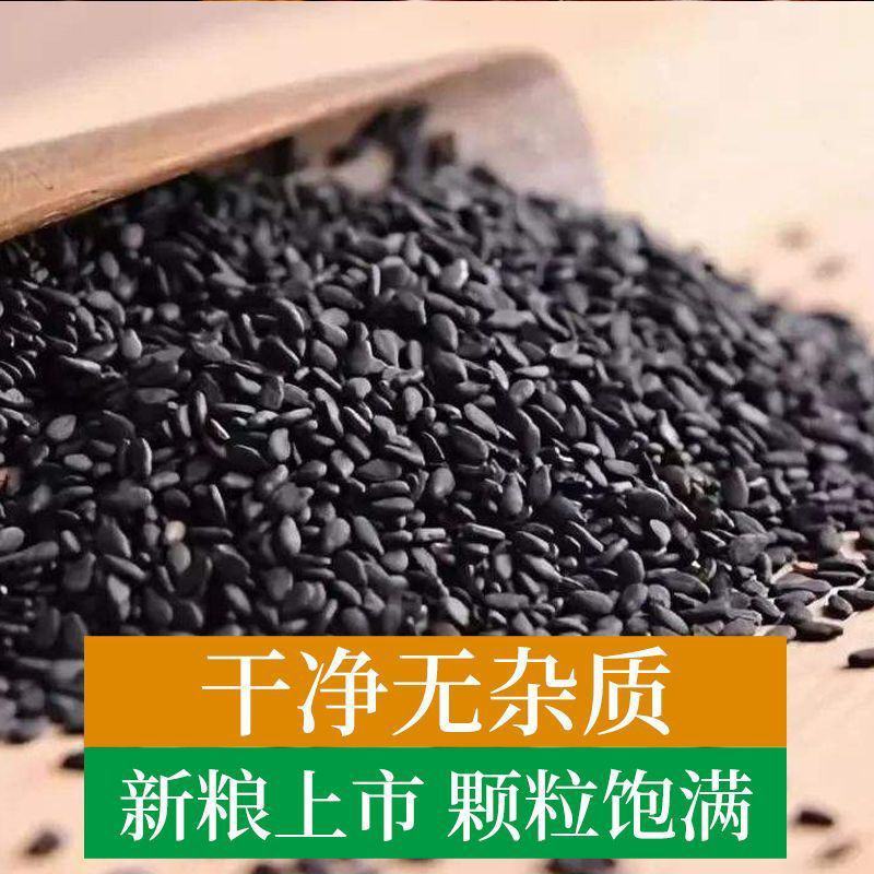 新货黑芝麻生黑麻免洗干净无沙即食颗粒饱满黑芝麻包邮