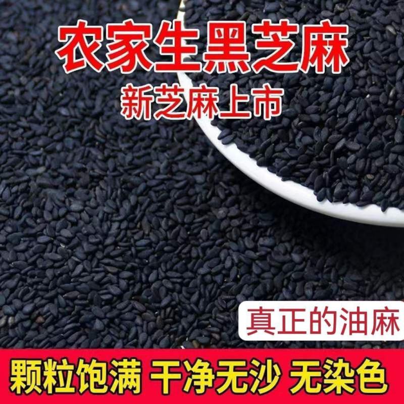 新货黑芝麻生黑麻免洗干净无沙即食颗粒饱满黑芝麻包邮