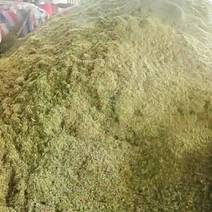 优质草粉全价料常年供货品质保证价格全国发货欢迎致