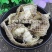 蛇蜕有名龙衣蛇皮水洗无沙关书药业批发中药材