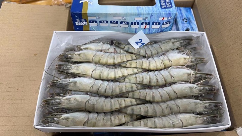 精品速冻黑虎虾，山东基地发货，肉质厚实有弹性，味道鲜美