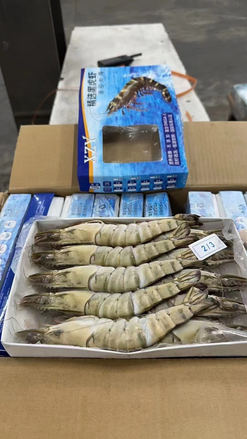 精品速冻黑虎虾，山东基地发货，肉质厚实有弹性，味道鲜美