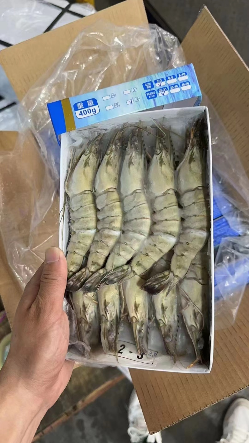 精品速冻黑虎虾，山东基地发货，肉质厚实有弹性，味道鲜美