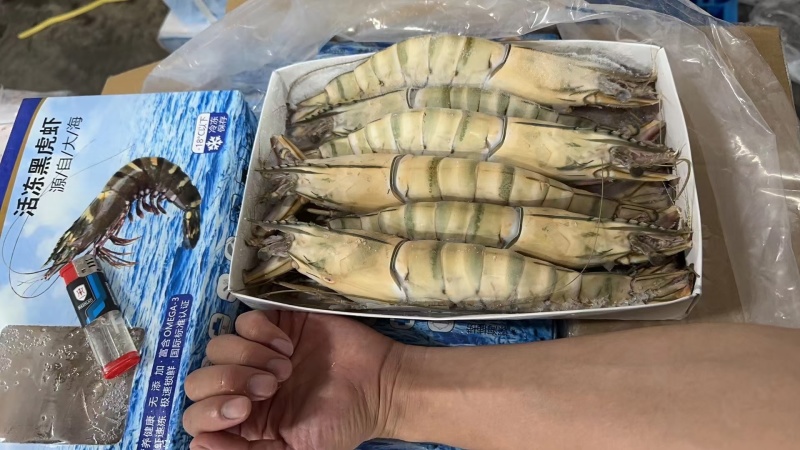 精品速冻黑虎虾，山东基地发货，肉质厚实有弹性，味道鲜美