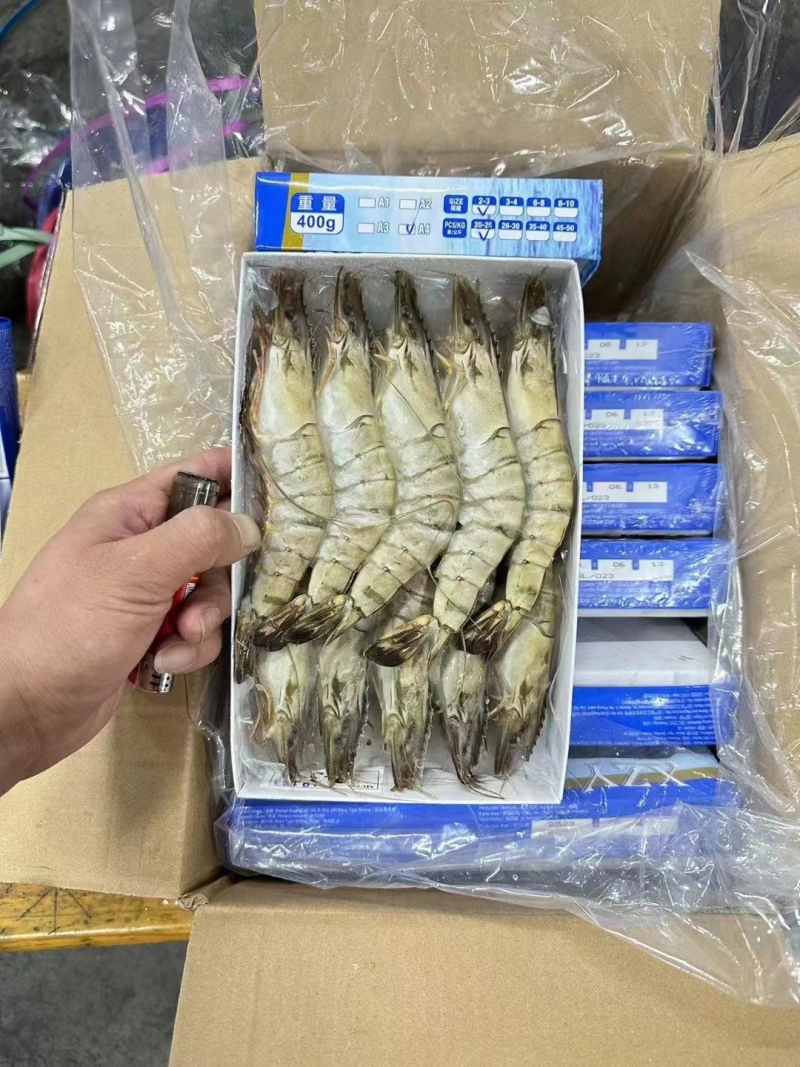 精品速冻黑虎虾，山东基地发货，肉质厚实有弹性，味道鲜美