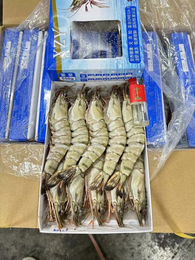 精品速冻黑虎虾，山东基地发货，肉质厚实有弹性，味道鲜美