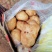 陆良县精品土豆