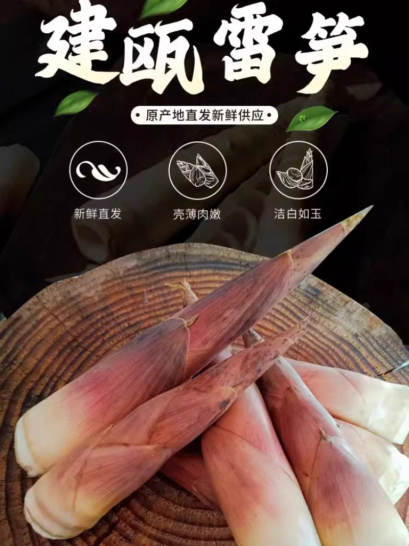 鲜雷竹笋