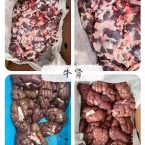 内蒙科尔沁大草原黄牛肉牛副产品