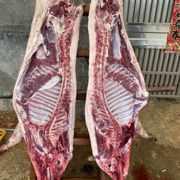 冬冷夏热的溜达溜达猪。有需要的联系我。30到150斤都有