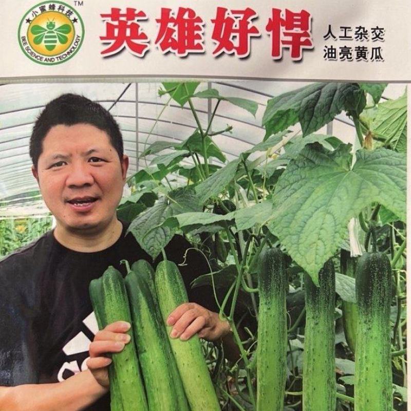 旱黄瓜种子英雄好悍无苦味嫩绿色脆甜强雌结瓜多早熟