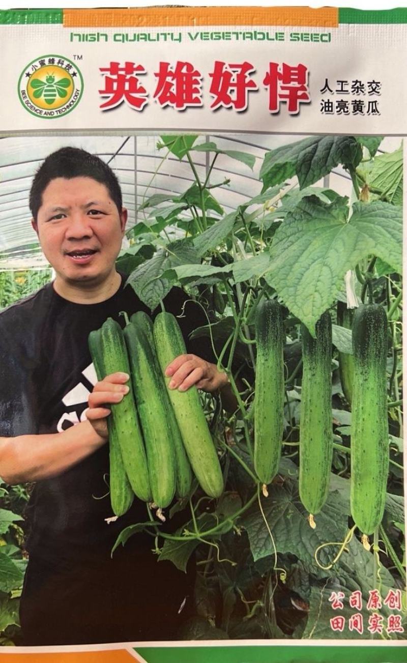 旱黄瓜种子英雄好悍无苦味嫩绿色脆甜强雌结瓜多早熟