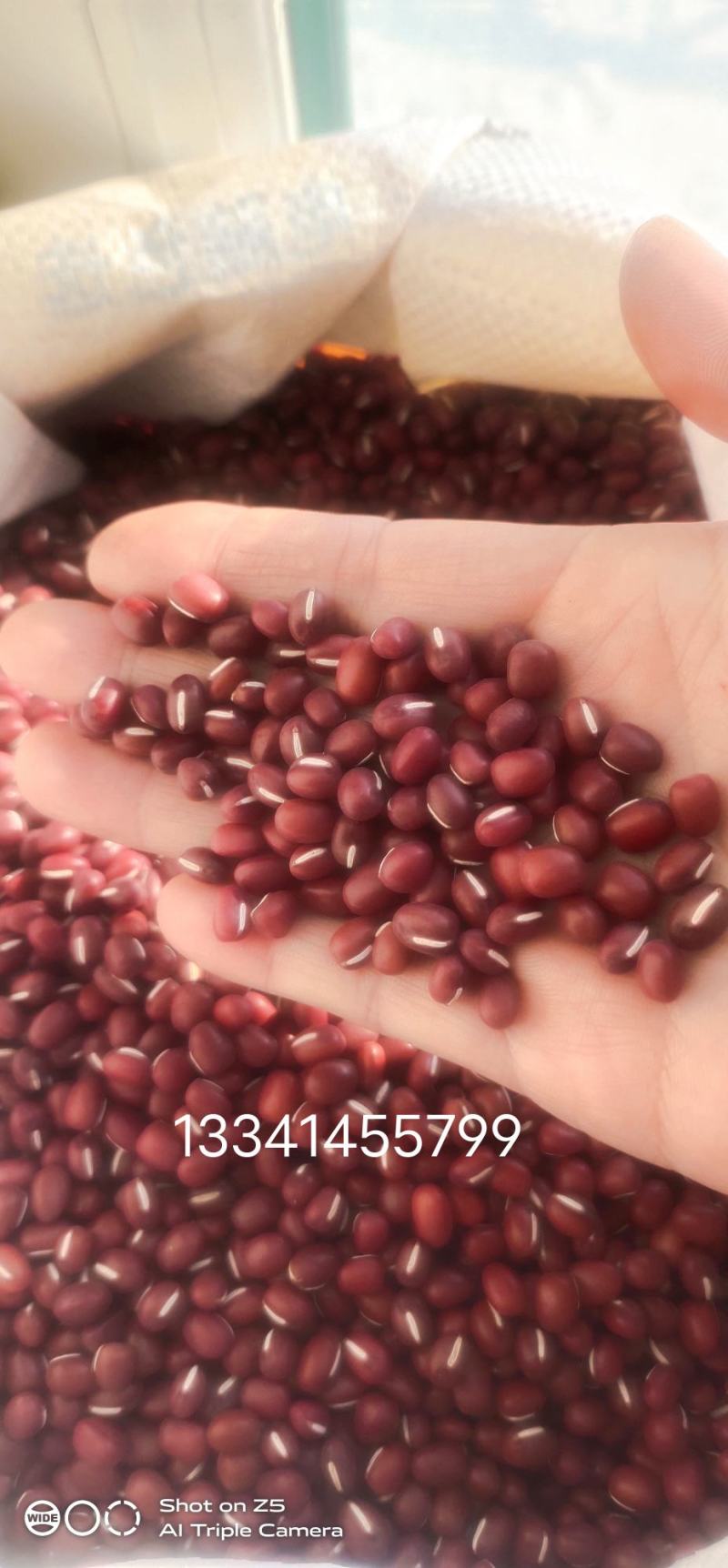 小红豆