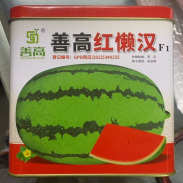 【懒汉】西瓜种子大果型大红瓤耐运输好管理