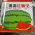 【懒汉】西瓜种子大果型大红瓤耐运输好管理