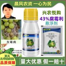 台湾兴农悦购43%腐霉利悬浮剂葡萄灰霉病农药杀菌剂20