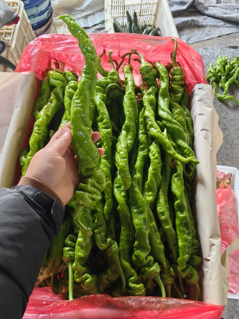 精品螺丝椒
