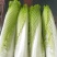云南精品邵菜，5千亩邵菜代销量大价格便宜