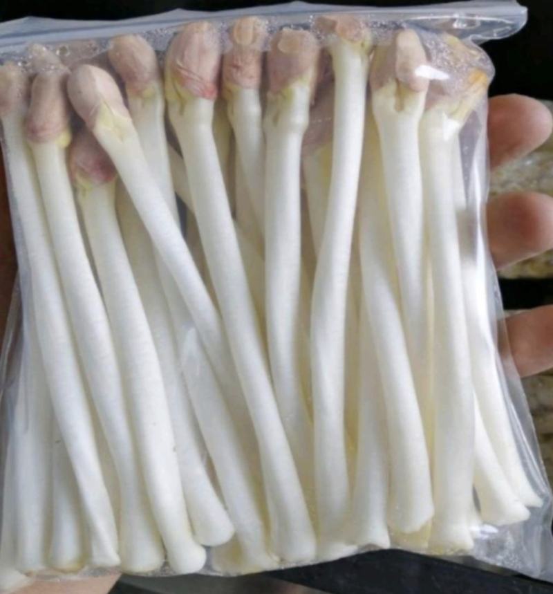 河南濮阳各种菜苗健康无农药品质保证量大从优