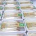 河南濮阳各种菜苗健康无农药品质保证量大从优