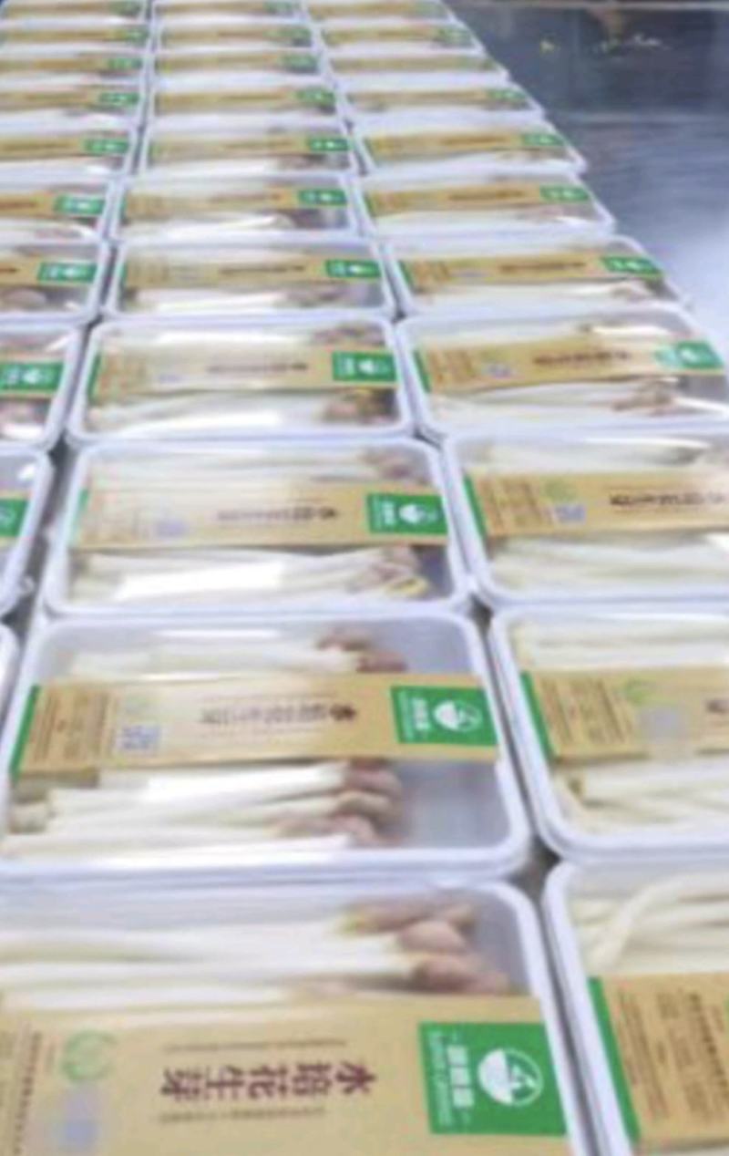 河南濮阳各种菜苗健康无农药品质保证量大从优
