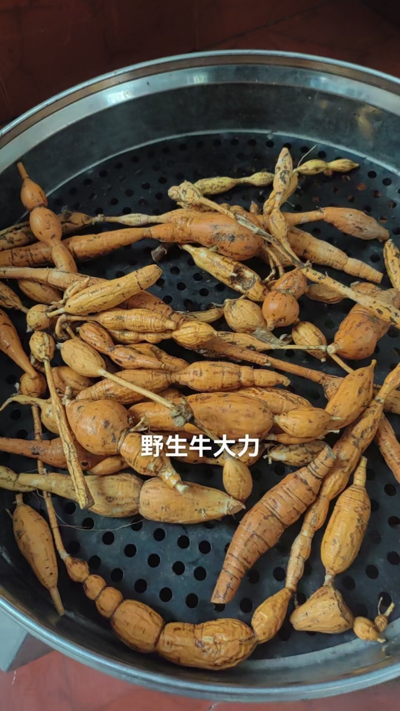 黑牛大力