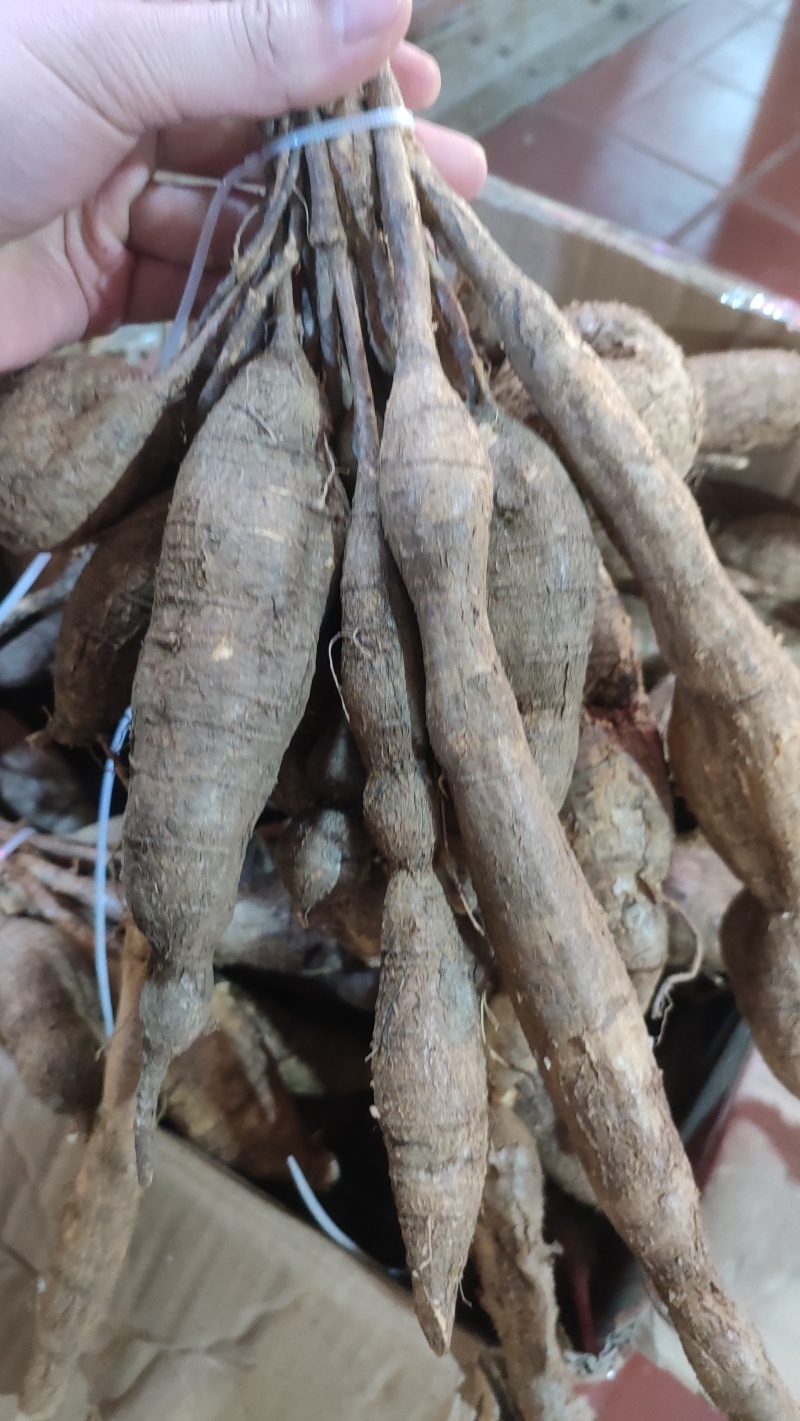 黑牛大力