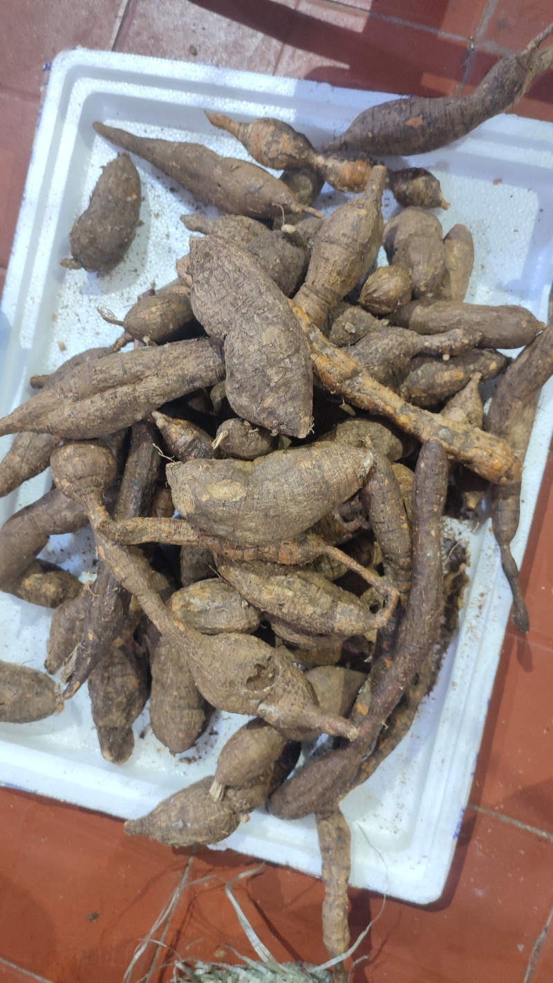 黑牛大力