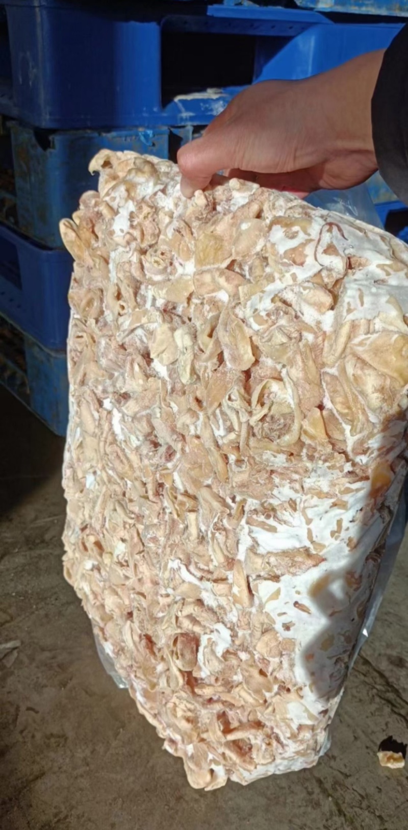 鸡嗉子工厂直发，全部新货
