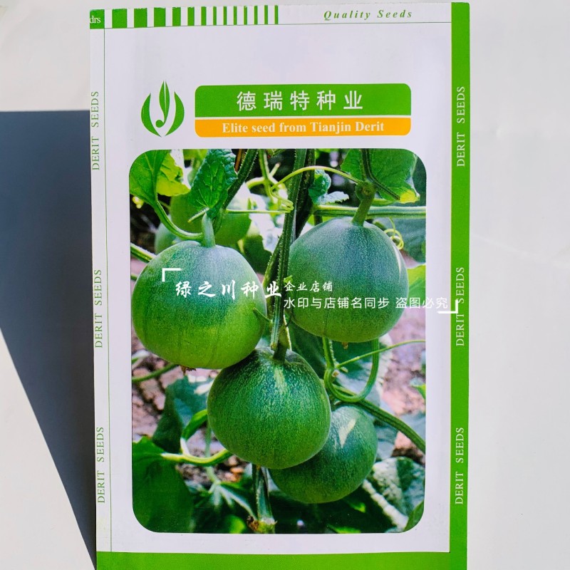 德瑞特绿宝甜瓜种子BY5602薄皮甜瓜种子黄绿肉苹果形