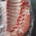 国产肥猪精肋排6-8片厂家直发品质保证量大从优
