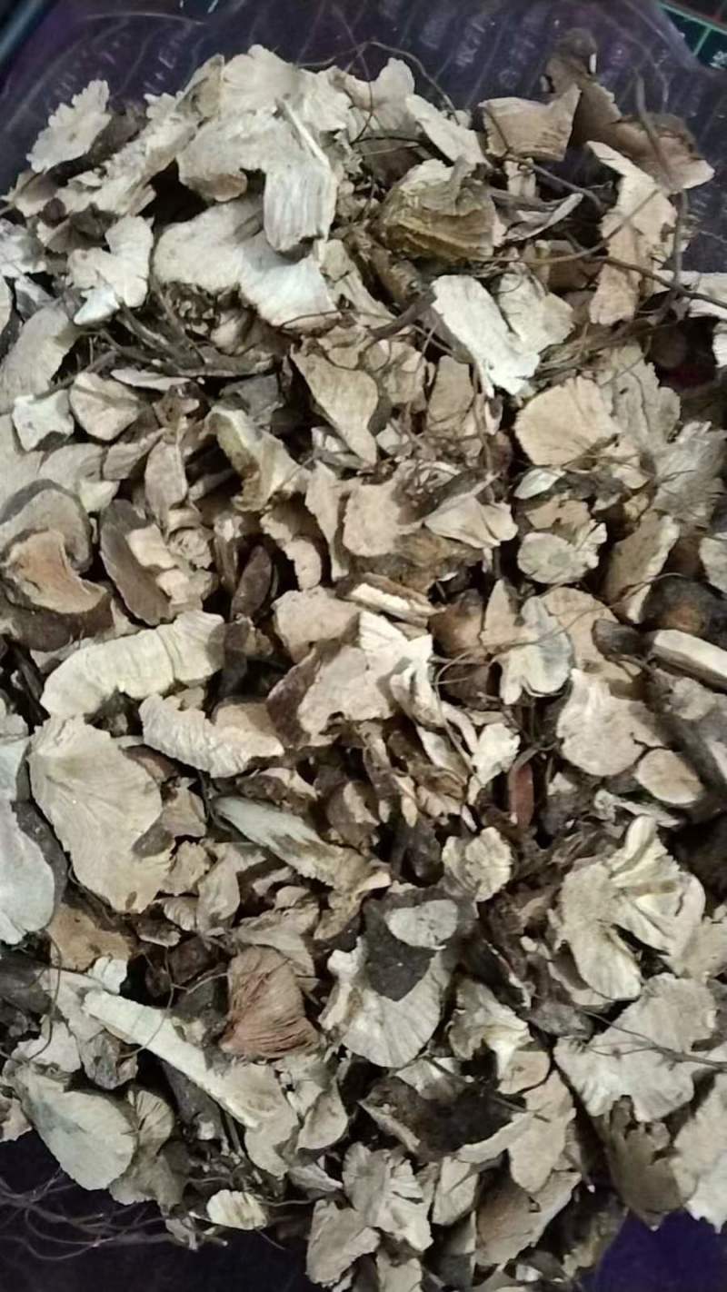 中药材野生金荞麦切片干货金乔麦金荞麦片