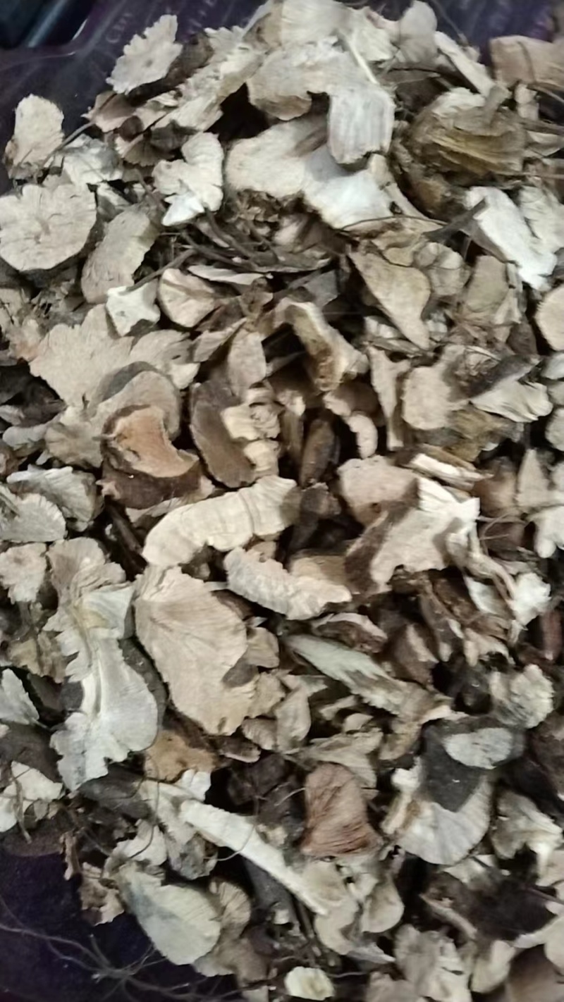中药材野生金荞麦切片干货金乔麦金荞麦片